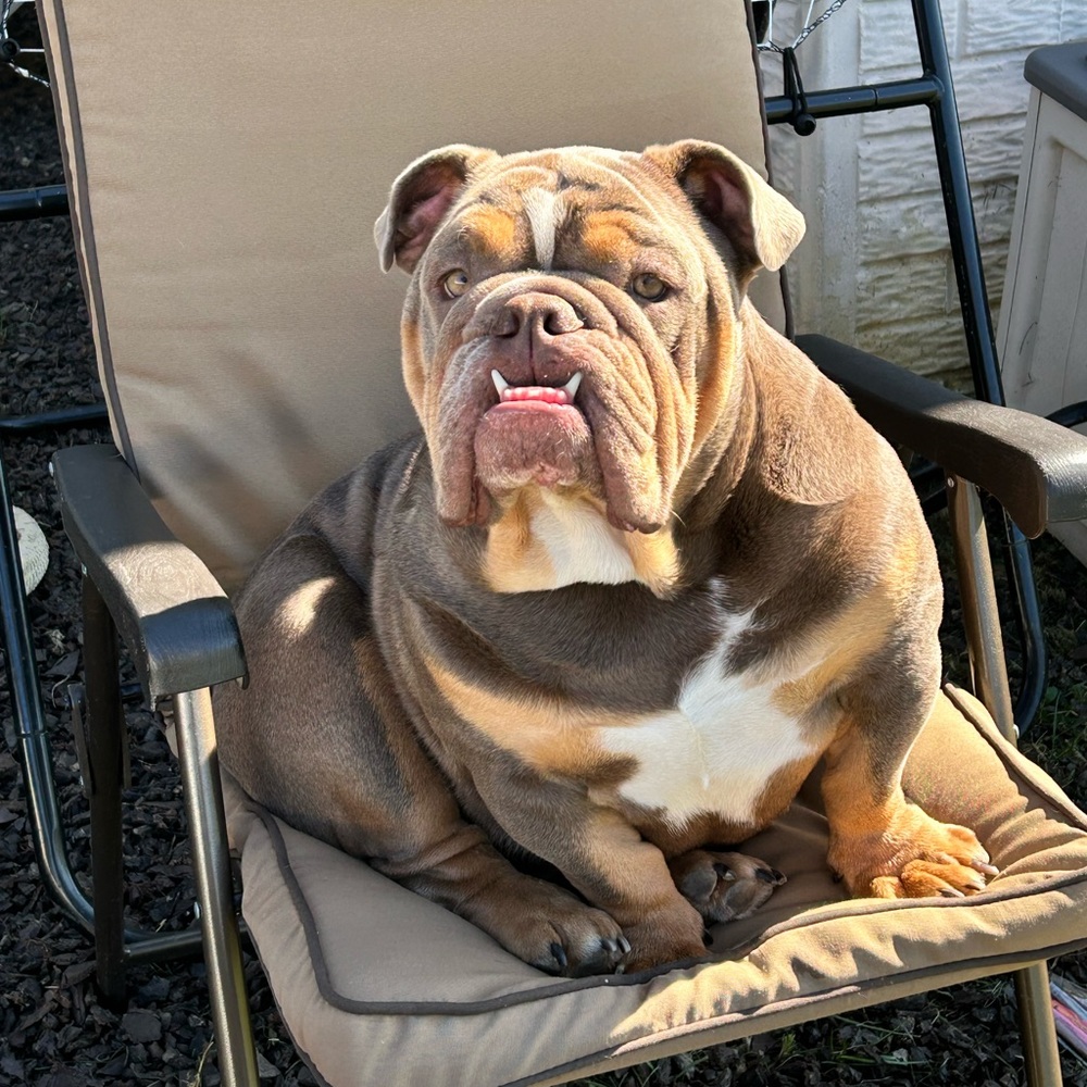 Courtney's (ck880) LIVE💙🦋🩵Come Say Hi! - Picture 15 of 16